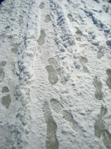 Our Footprints on the Iced Harbour