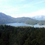 View on the way up in the cable car